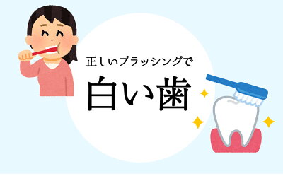 Be89歯磨き粉ホワイトニング医薬部外品薬用歯磨き【歯を白くするはみがき粉】口臭むし歯歯周炎予防日本製90g(ペースト)