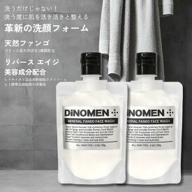 DiNOMEN ミネラルファンゴ フェイス ウォッシュ 100g 2個 洗顔 フォーム メンズ 男性 スキンケア 化粧品 コスメ 毛穴 保湿 ニキビ 肌荒れ 汚れ 対策 ケア 　ゆうパケット