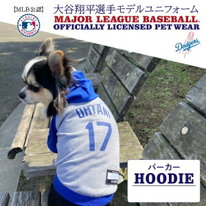 Jĕ ybgp jtH[ p[J[ MLB T[X hW[X  fRs