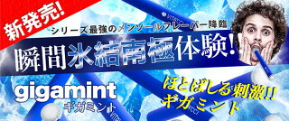 送料無料ポイント10倍ビタッチ正規品6種類水蒸気スティック電子タバコビタミンスティックVITACCIビタミンフレーバーサプリメント通販ネコポス