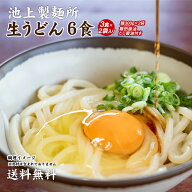 1000円ポッキリ 送料無料 池上製麺所特製 釜玉うどん 6食 ポイント利用 お試し ポイント消化 讃岐うどん …