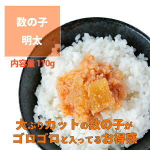 COCORO ̎q 110g ̎q ƒpq  pbN hqq q ߂񂽂 yY 炱