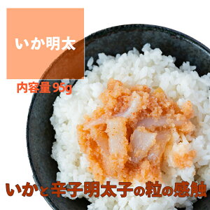 COCORO  95g C   Ďq CJ  Y hg ߂ ƒpq  pbN hqq q ߂񂽂 yY 炱