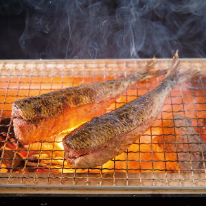 yF hqqgpzkCY@킵q@2×2ܓ