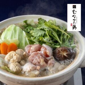 (2lO)^Ⓚ Y   O Zbg O O ی{gp 蕨 Mtg   Εɂ߂łB