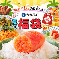 【クーポン利用で400円OFF★先着順】 [明太子1kgが必ず入る！] かねふく 夏の福袋 2026 6品入り 送料無料…