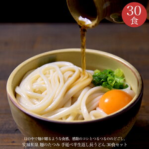 たつみ麺店 手延べ半生長うどん3人前×10袋入り 【常温保存】 お歳暮 お中元 うどん 手延べ 手延べうどん半生 半生返し 半生戻し 安城 和泉 名物 名古屋 名古屋名物 名古屋飯 名古屋めし 贈