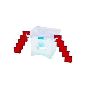 yz ANX^  Ot _I Xe[W    ߕ O `  39×39mm I[  JvZRNV
