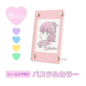 ygJfBXvCzV[hPRO pXe J[ Iׂ5F gJ P[X fBXvC pXeJ[ g[fBOJ[h AN fBXvCX^h ۊ [ RNV 