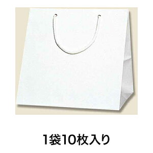 【手提袋】ブライトバッグ C1 白