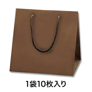 【手提袋】ブライトバッグ C2 チョコブラウン(MT)