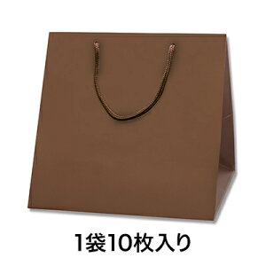 【手提袋】ブライトバッグ C0 チョコブラウン(MT)