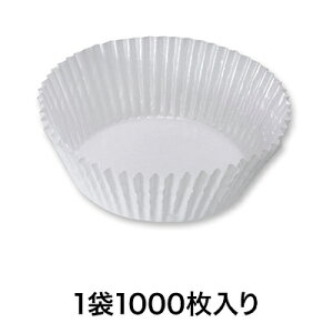 yP[XzOVJbv NOD17 1000