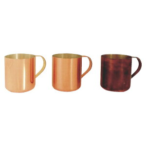 yubNtCf[I|Cgő10{zXR~[p }OJbv AeB[N