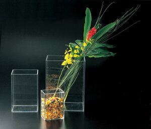 yANp^P[Xz AC-210 ANY Ɩp p[eBErbtF POPpi ro