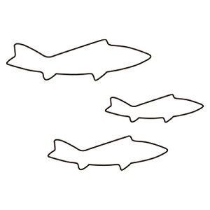 yX[p[SALEI|Cgő10{z̐ 3PC 