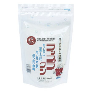 yX[p[SALEI|Cgő10{zbvNphKۍ 550g X^h`bN