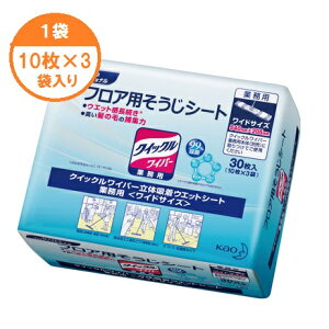 y|pV[gz@NCbNCp[@Ɩp@̋zEFbgV[g@30@1