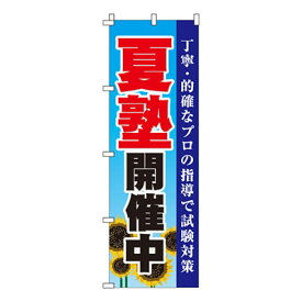 【のぼり旗】夏塾開催中　0270036IN 業務用 のぼり のぼり旗 sh