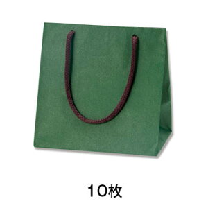 y񂰎܁z񂰎܁@J[`[obO@MW@O[