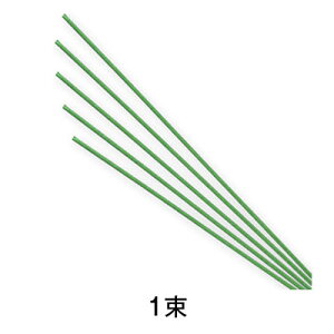 【特光】特光水引 日和