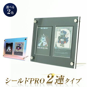 V[hPRO 2A^Cv Iׂ2F gJ fBXvC P[X g[fBOJ[h XN[_E a W [ RNV Y 2