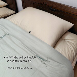 ܂ LVR1LO ȃTengp 43×63cm x[W {