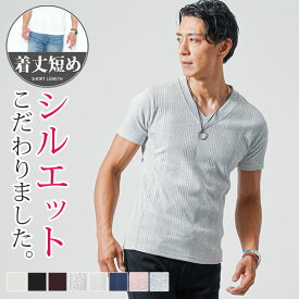 vネック tシャツ メンズ 半袖 ちょいワル ショート丈 半袖シャツ 袖 短め 夏 シャツ 50代 ファッション 40代 カットソー メンズファッション vネックtシャツ 乳首 透けない マッチョ に 見える ぴっちり t かっこいい おしゃれ ブランド 白tシャツ トップス