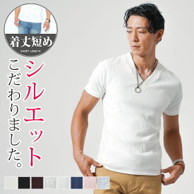 vネック tシャツ メンズ 半袖 ちょいワル ショート丈 半袖シャツ 袖 短め 夏 シャツ 50代 ファッション 40代 カットソー メンズファッション vネックtシャツ 乳首 透けない マッチョ に 見える ぴっちり t かっこいい おしゃれ ブランド 白tシャツ トップス