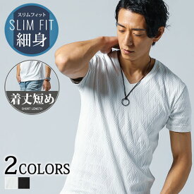 vネック tシャツ メンズ 半袖 vネックtシャツ 半袖vネック ストレッチ 3l ショート丈 tシャツ 着丈 短い 短め カットソー かっこいい t シャツ 白tシャツ スリム 大人 ジャケット メンズ白tシャツ 夏 半袖シャツ 袖 v ネック t カットソーメンズ 大人tシャツ 高級