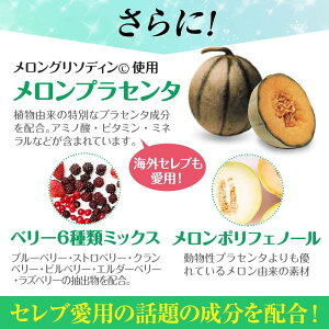 【送料無料/あす楽】メロリアンバストサプリプラセンタイソフラボンプロテオグリカン30日分60粒入り国産【メロリアン】