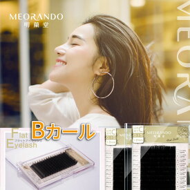 ＼お買い物マラソン全商品P最大10倍／サロンプロ用まつげエクステMEORANDOアイラッシュフラットエクステFlatLash　まつエク シングル　軟らかい【16列】【Bカール】【在庫限り】 md【メール便】