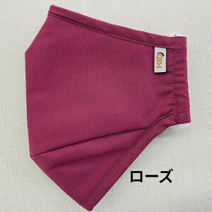 _}\Pő10{UP^Four-Layer@\􂢉\ȍRۃ}XNiKN95jlw\@CO擾y[ցzCtGU΍