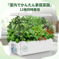 【ポイント2倍】【翌日発送】水耕栽培キット 12株同時栽培 LED植物育成ライト・自動水循環 室内 家庭菜園…