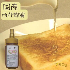 SԂ݂͂ 250g nj[ I _ g Y Mtg ቷ v[g