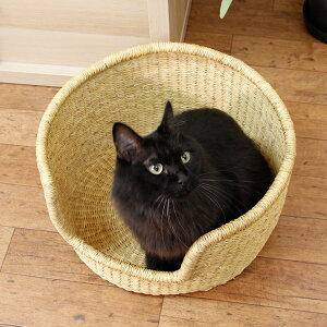 {KoXPbg ے L/ybg xbh L  JS oXPbg ybgpi ybgp ^L ^L K[i uLit@\ AtJ Gt@gOX   Vv i`