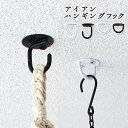 アイアン ハンギングフック (ネジ付き)/天井 から 吊るすフック 観葉植物 吊り下げ ハンギング おしゃれ DIY 金具 イ…