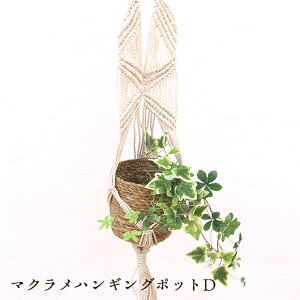 }N nMO |bgD/Creer  Ǌ| ϗtA nMOO[ ҂ ^yXg[ vgnMO  oXPbg  k JS VRf ҂݂  