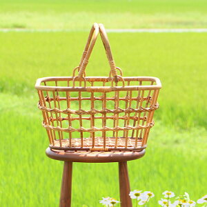 O AO }[PbgoXPbg STCY/  obO sNjbNoXPbg oXPbg  킢 sNjbN  ^  O k JS VRf   o