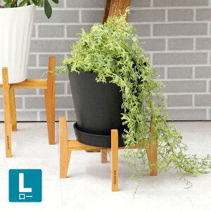 }zKj[ |bgX^hL [ NEIN MARKE/iC}[PVR ChlVA AeB[N [bp i` t` CeA k VRf