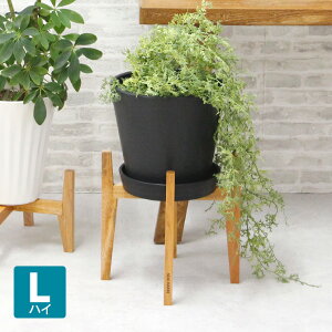 }zKj[ |bgX^hL nC NEIN MARKE/iC}[PVR ChlVA AeB[N [bp i` t` CeA k VRf