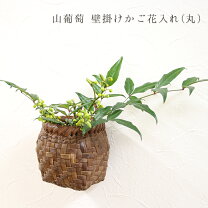 楽天市場】山葡萄花入れの通販