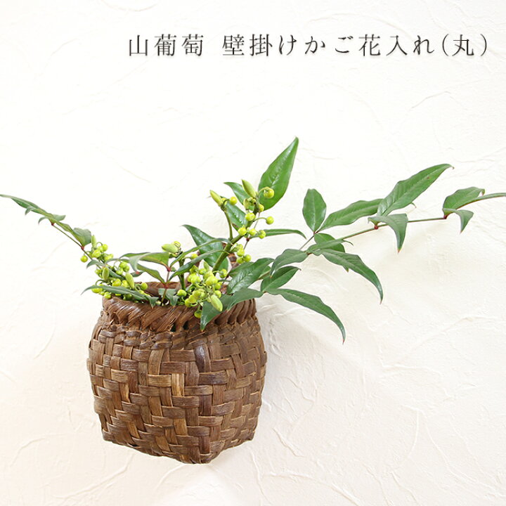 楽天市場 山葡萄 壁掛け かご 花入れ 丸壁掛け 一輪挿し かご 籠 花籠 掛け花器 掛花 花生け 和風 華道 やまぶどう 山ぶどう ブドウ カゴ 花かご 鉢カバー 中 国産 おしゃれ 上品 Mercadoメルカド かご収納雑貨の店