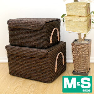 バスケット 収納 蓋付き 収納ケース カラーボックス 通販 価格比較 価格 Com