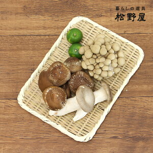 y[ցz쉮 ^|p~9/ { |   Y |׍H U  g G     JS VRf  ̂ ҂݂ |