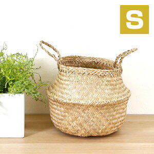 V[OX oXPbg 2EFC STCY/  JS [ [oXPbg AWA [P[X [{bNX   k VRf [ [JS ҂݂    {bN