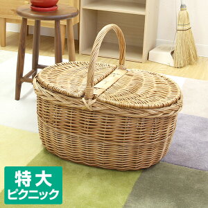 かご ふた付き 収納ケース カラーボックス 通販 価格比較 価格 Com