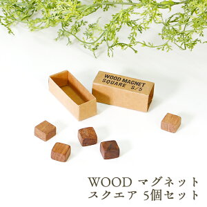 WOOD }Olbg XNGAi5Zbgj / ①  Vv XNGA lp i` uE  ~j VbN Ebh AeB[N  킢 k  \t 