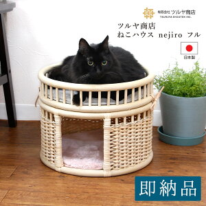 cX nejiro  lRnEX/^ ybg xbh L  JS oXPbg ybgpi ybgp ˂ LnEX lR R` ybgnEX Jh[ ِi H|i `H|i ˂ lW 