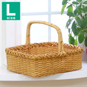 Ebh`bv nh e[uoXPbg L Ebh`bvoXPbg  kG  k  mfBbNoXPbg oXPbg   ^ [{bNX 